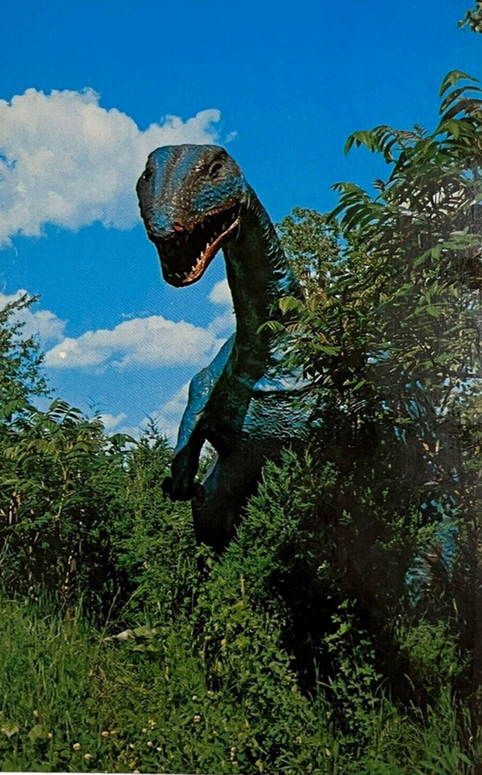 Prehistoric Forest - Vintage Postcard (newer photo)